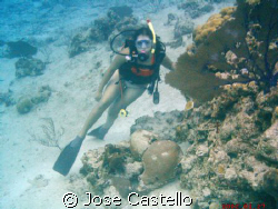 her first dive after her certification she really enjoy t... by Jose Castello 
